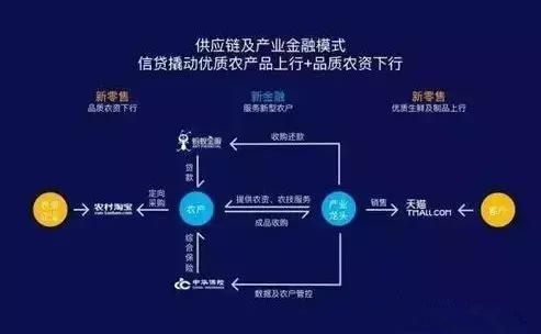 黑客一般怎么接单?揭秘地下经济运作全流程与风险规避 第2张 黑客一般怎么接单?揭秘地下经济运作全流程与风险规避 第2张