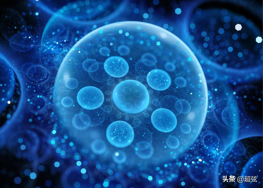 黑客在线接单资料大全:揭秘网络暗市运作与防范指南