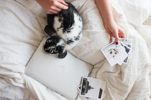 最开放的免费聊天软件推荐:安全便捷的沟通工具让聊天更自由快乐 第1张 最开放的免费聊天软件推荐:安全便捷的沟通工具让聊天更自由快乐 第1张