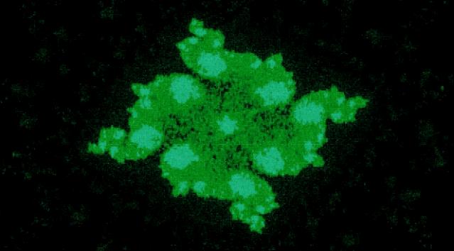 24小时黑客在线接单人才:随时解决网络安全危机,让您的数字世界永不打烊