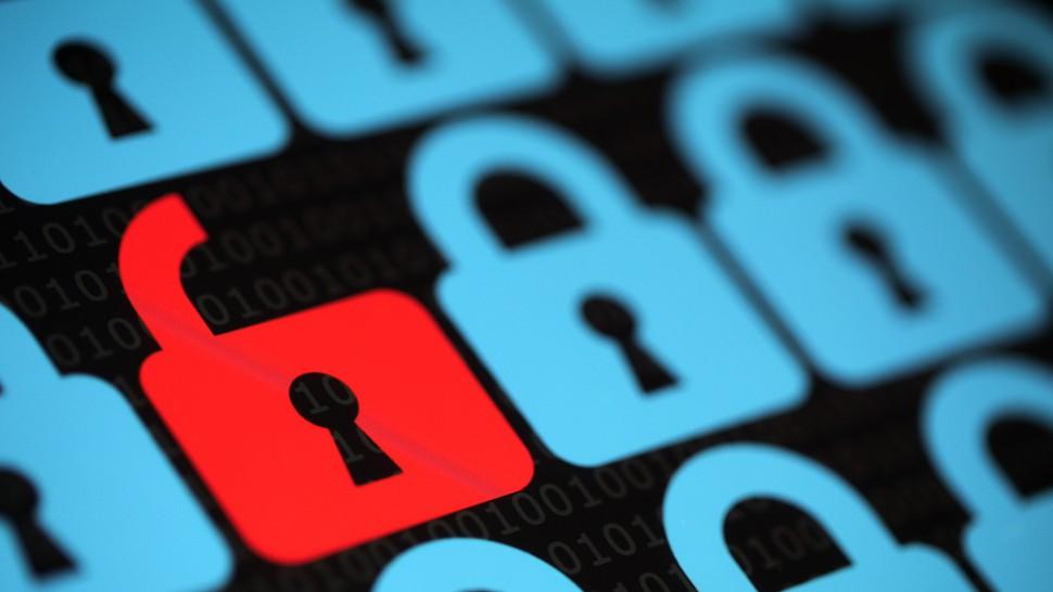 黑客24小时在线查询网站:快速检测漏洞,守护网络安全