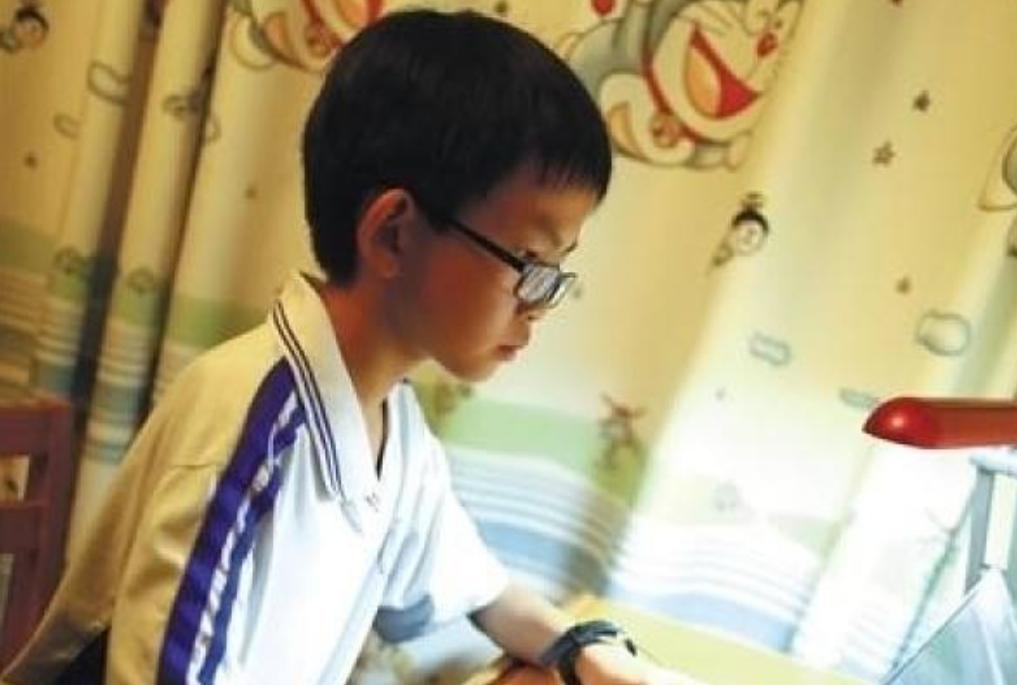 中国年龄最小的黑客汪正扬：13岁天才少年的网络安全之路与教育启示  第1张