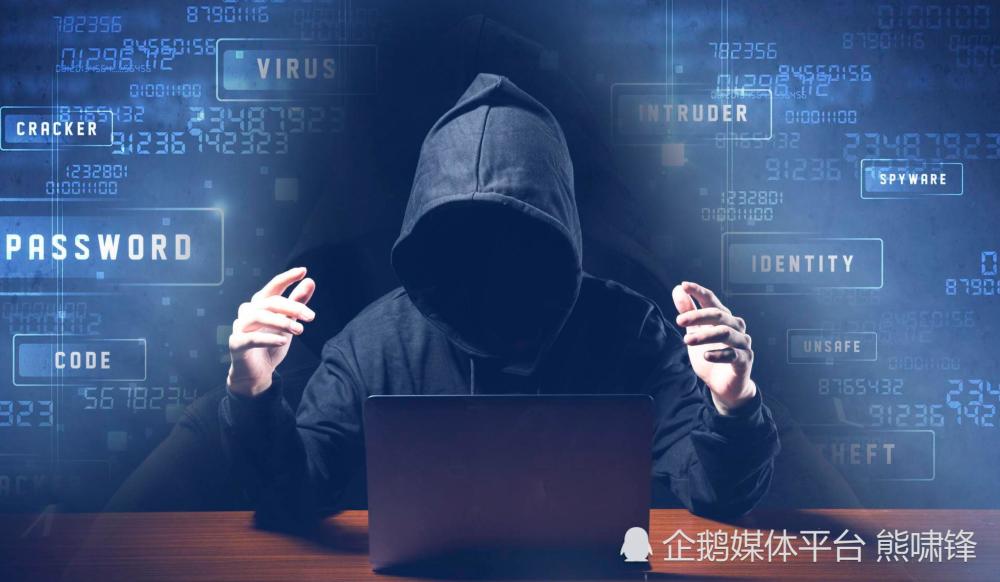 黑客能挣到钱吗?揭秘白帽、灰帽、黑帽黑客的合法与非法收入来源 第3张 黑客能挣到钱吗?揭秘白帽、灰帽、黑帽黑客的合法与非法收入来源 第3张