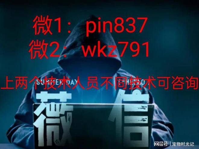 正规黑客联系私人接单:安全解决技术难题的便捷指南