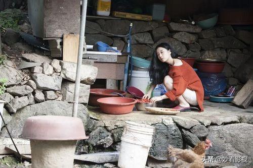 免费黑客技术论坛：零门槛掌握网络安全技能，避开学习陷阱的完整指南