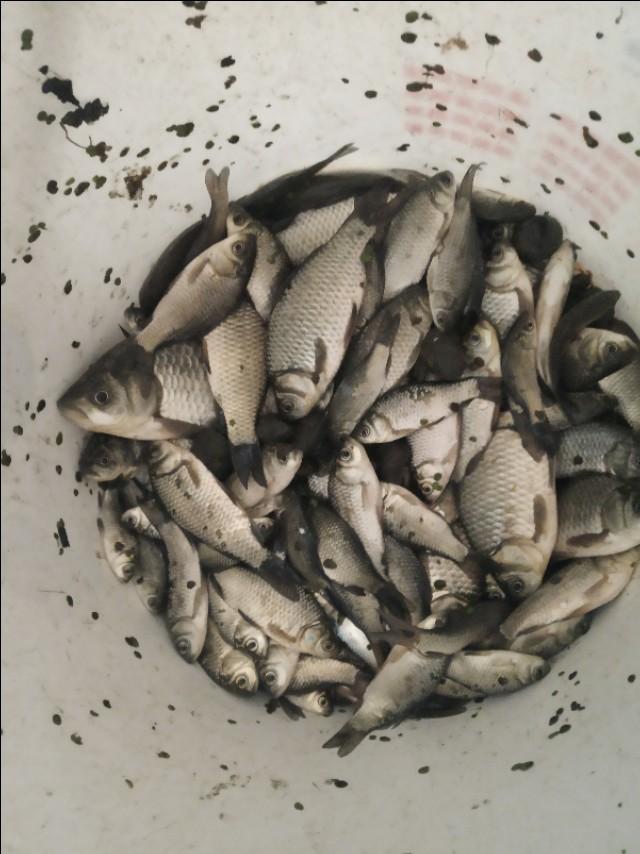 平台充了钱提现不了怎么办？3步快速解决提现难题，避免资金损失