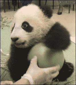 QQ后端破解系统安全防护指南:揭秘常见攻击手段与高效防范措施