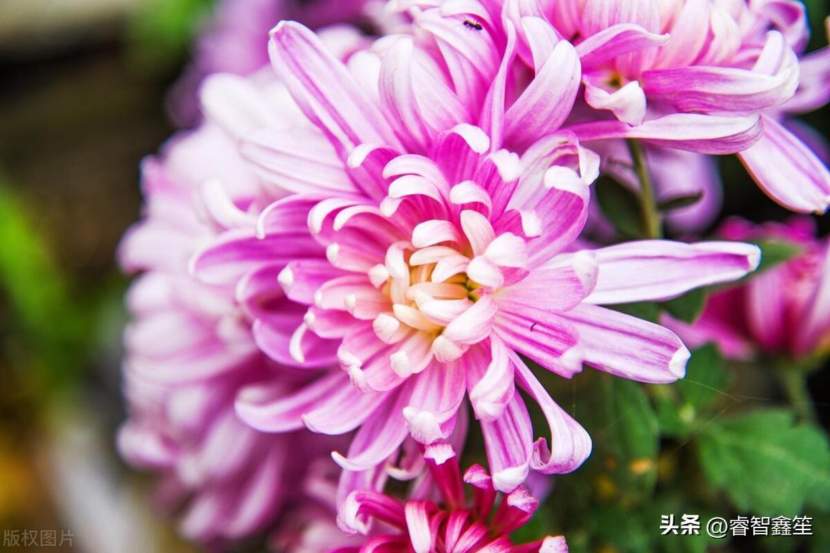 怎么自学编程:从零开始轻松掌握编程技能,告别学习困惑 第3张 怎么自学编程:从零开始轻松掌握编程技能,告别学习困惑 第3张