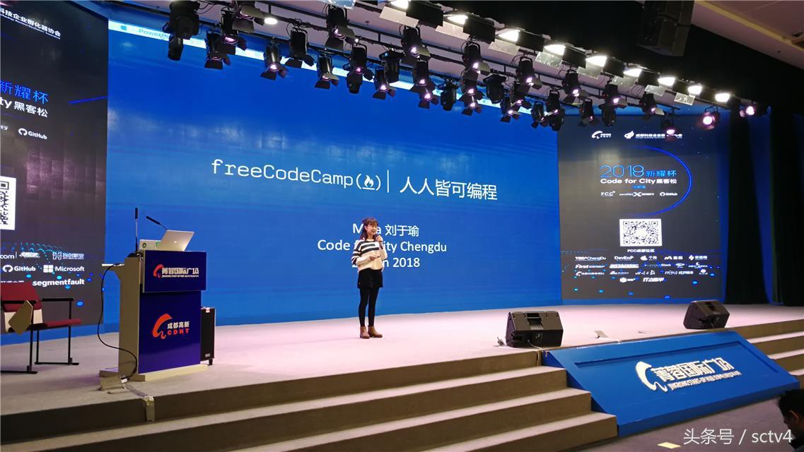 黑客厉害还是程序员厉害？揭秘两者技术差异与职业前景，帮你做出明智选择  第1张