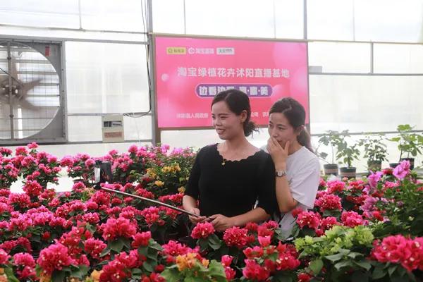 免费引流软件全自动接单靠谱吗?揭秘零风险高效引流实战技巧 第2张 免费引流软件全自动接单靠谱吗?揭秘零风险高效引流实战技巧 第2张