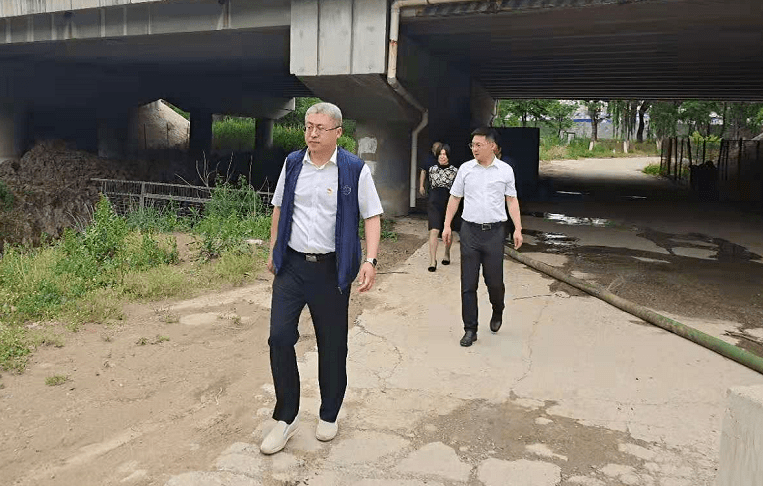 安理会讨论黑客会议：揭秘网络安全新规则如何守护你的数字生活  第1张