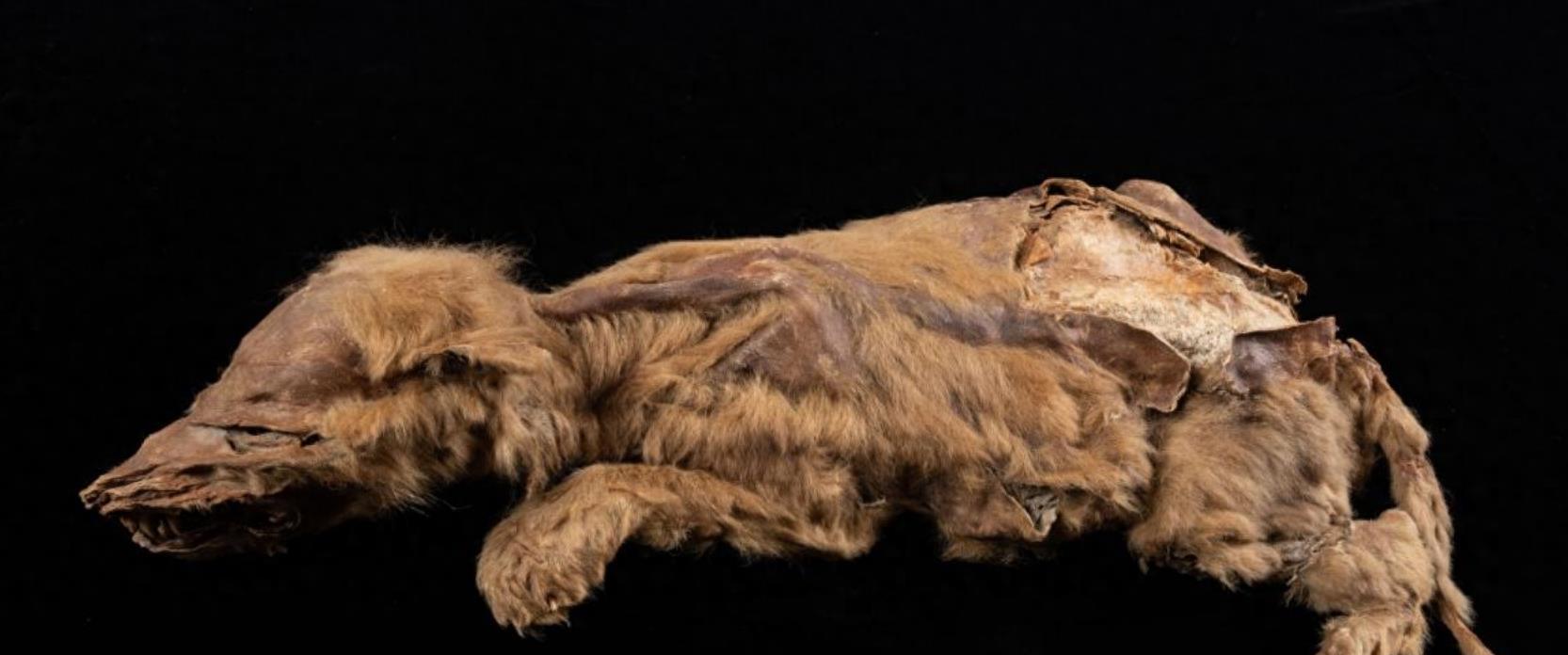 网上聊天被威胁了怎么办？立即行动保护自己，避免恐惧与损失  第2张